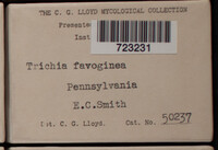 Image Associated With the Occurence